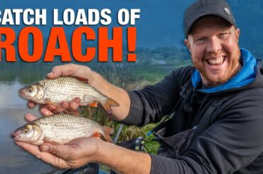 Catch LOADS Of Roach and Silvers Using Casters! | Andy May