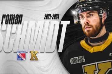 OA Interview: Roman Schmidt