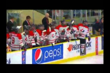 Nov 07, 2015 WHC-17: Final. Canada White 6-2 Russia