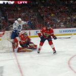 Tyler Bertuzzi Goaltender Interference Penalty