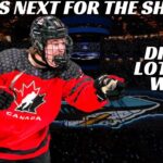 What's Next For The San Jose Sharks? 2024 Off-Season Plan