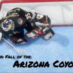 The Rise and Fall of the Arizona Coyotes