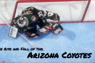 The Rise and Fall of the Arizona Coyotes