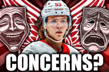 BIG CONCERNS FOR MORITZ SEIDER? DETROIT RED WINGS FANS SPEAK OUT…