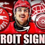 STEVE YZERMAN MAKES AN INTERESTING MOVE: DETROIT RED WINGS SIGN HUGE GROWTH PROSPECT ANDREW GIBSON