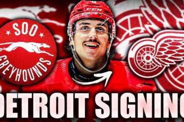STEVE YZERMAN MAKES AN INTERESTING MOVE: DETROIT RED WINGS SIGN HUGE GROWTH PROSPECT ANDREW GIBSON