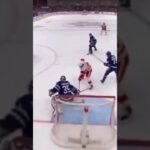 TJ Brodie forgets to take Larkin's stick away. Just stands there. Leafs lose in OT. #leafs #redwings