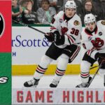 IceHogs Highlights: IceHogs vs Stars 3/12/24