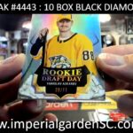 BREAK #4443 : 10 BOX 2023-24 #upperdeck BLACK DIAMOND NHL HOCKEY BOX CASE BREAK