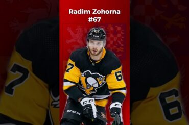 Radim Zohorna posila z NHL pro MS 2024! 🐧