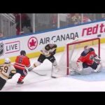 Noel Acciari Goal vs EDM 02-20-2018