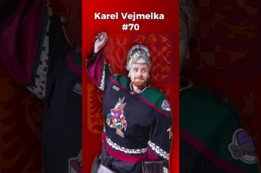 Karel Vejmelka posila z NHL pro MS 2024! 🥅