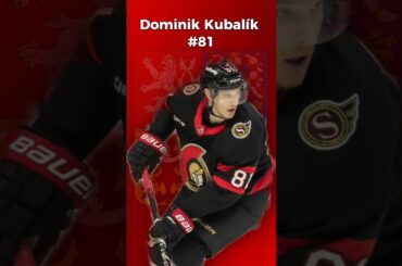 Dominik Kubalík posila z NHL pro MS 2024! 😍