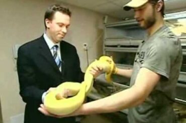 Inside Hockey: Brent Burns' Zoo