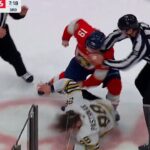 The Panthers HUMILIATE the Bruins