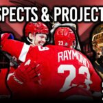 Episode 275 - Detroit Red Wings Prospect Updates & Contract Projections