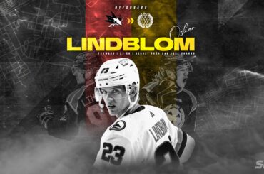 Intervju med Oskar Lindblom: "Alltid varit en dröm att få spela i Brynäs igen"
