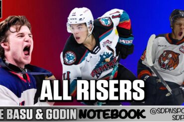 All Risers | The Basu & Godin Notebook