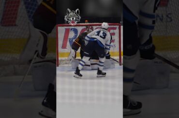 Adam Scheel STONEWALLS Manitoba Moose Shootout Attempt #chicagowolves #ahl #hockey #justgoaliethings