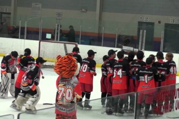 Hardcore Hockey 2012 OneHockey 2000 Gold Champions - Cup Award