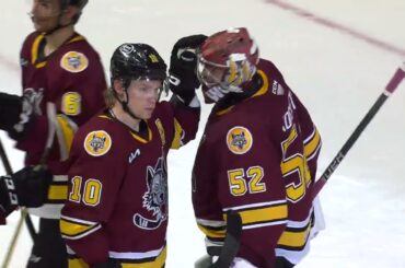 Game Highlights April 1 Chicago Wolves vs. Rockford IceHogs
