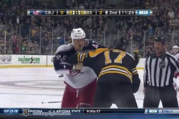 Dalton Prout vs Milan Lucic Nov 30, 2013