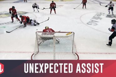 Assist of the Year? Wingerli never gives up!
