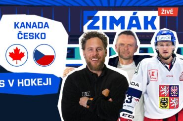 Vrána: Zacha se v Bostonu zvedl. Jeho vztah k repre? Každý to máme jinak