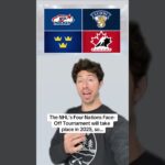 David Pastrnak took a shot at the NHL after Czechia won the Men’s World Hockey Championship 😲☠️