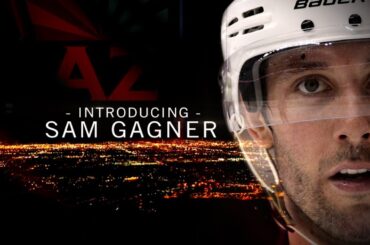 Introducing Sam Gagner
