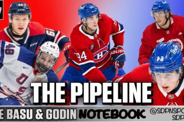 Pipeline Top-10 | The Basu & Godin Notebook