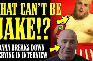 Jake Paul is as FAT as BUTTERBEAN in NEW VIDEO!! Dana White BREAKS DOWN CRYING in Interview!