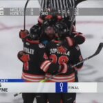 Komets top Wheeling 1-0 in The Jungle