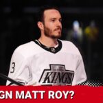 Matt Roy is a perfect fit for the Detroit Red Wings