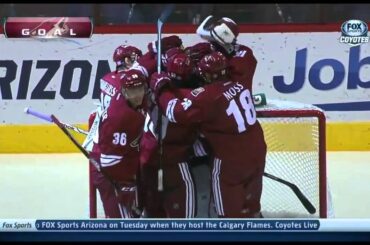 Phoenix Coyotes goaltender Mike Smith scores a goal