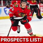 Chicago Blackhawks Summer 2024 Top Prospects List (Part 2), + Michael Hage's Draft Profile