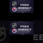 #nhl #oregonducks #hockey #blackhawks #sports #greenscreen #top #canada #playoffs #icehockey #shorts