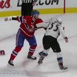 Cody McLeod vs Jarred Tinordi Oct 18, 2014