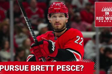 Brett Pesce would fit perfectly on Detroit's second pair