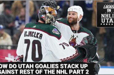 Utah HC Player Profile: How Important is Next Season for Karel Vejmelka?