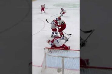 WHAT A SAVE by Lukas Dostal 🇨🇿✋ | 2024 #MensWorlds