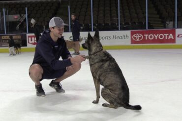 Get to know Grosenick's Dogs