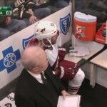 NHL 2013.01.19 Arizona Coyotes - Dallas Stars