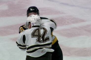 11/24/2021 Hershey Bears vs Providence Bruins
