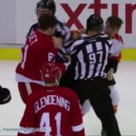 Michael Raffl vs Xavier Ouellet. December 11, 2016