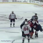 Troy Brouwer vs Erik Gudbranson Dec 13, 2013