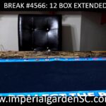 IMPERIAL GARDEN SPORTS DAILY STREAM! LETS GO!