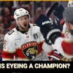 Could the Penguins look to add Vladimir Tarasenko?