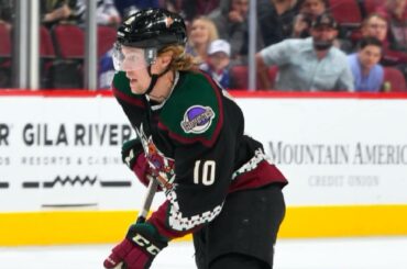 Toronto Maple Leafs place Ryan Dzingel on Waivers