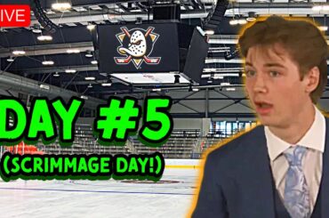 Beckett Sennecke 1st game as an Anaheim Duck! (LIVE from 2024 Dev Camp - Day 5)